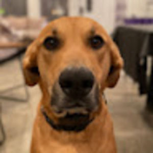 Meet your Posher, Addie